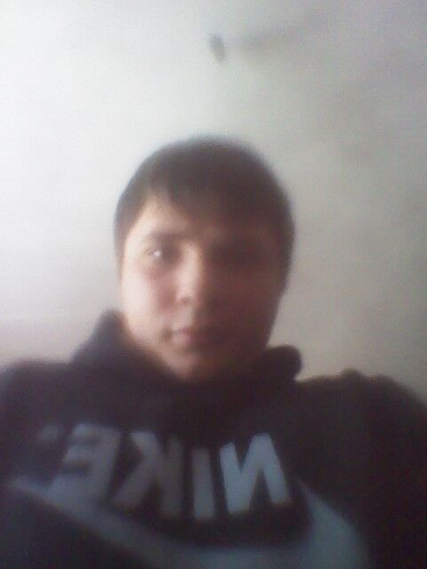  7256688  , 31 ,    