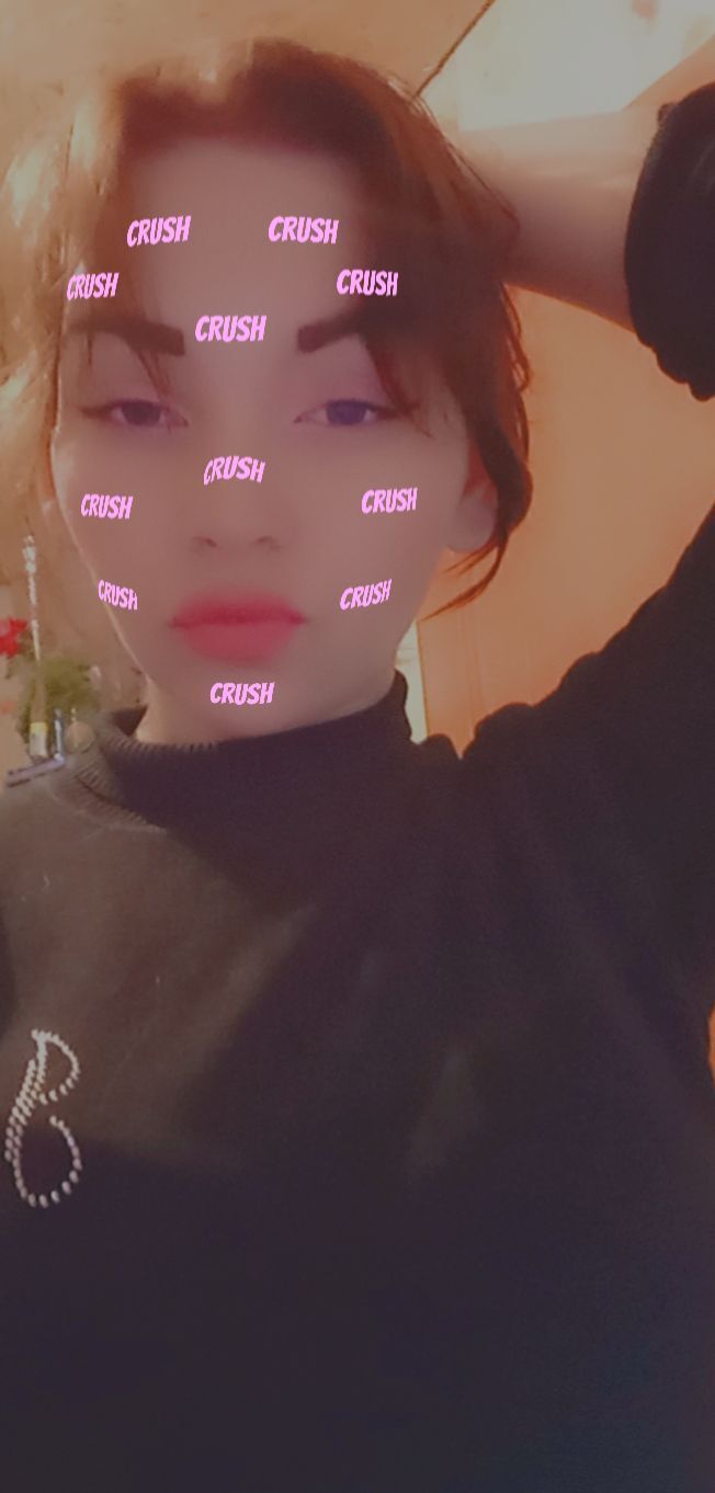  24695588  , 23 ,    