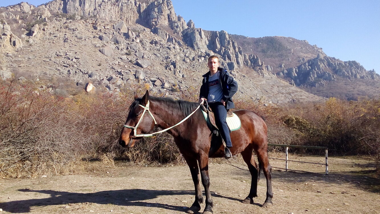 ���� 55457848 ������� ������, 36 ���, ���� ���������� � �����������