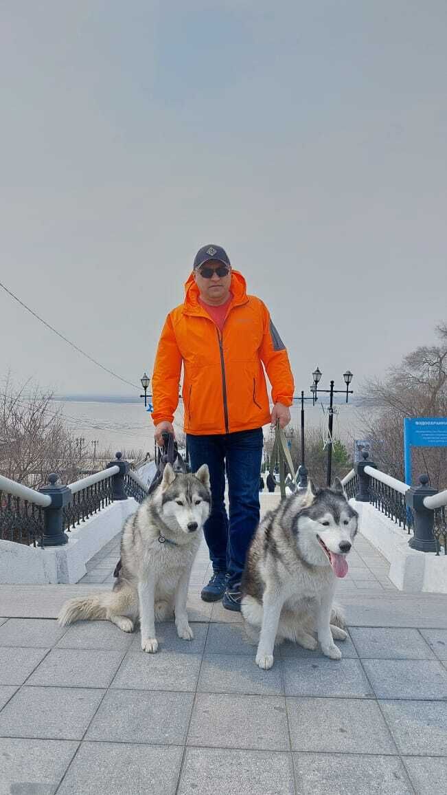  38968018  Sergey, 48 ,    