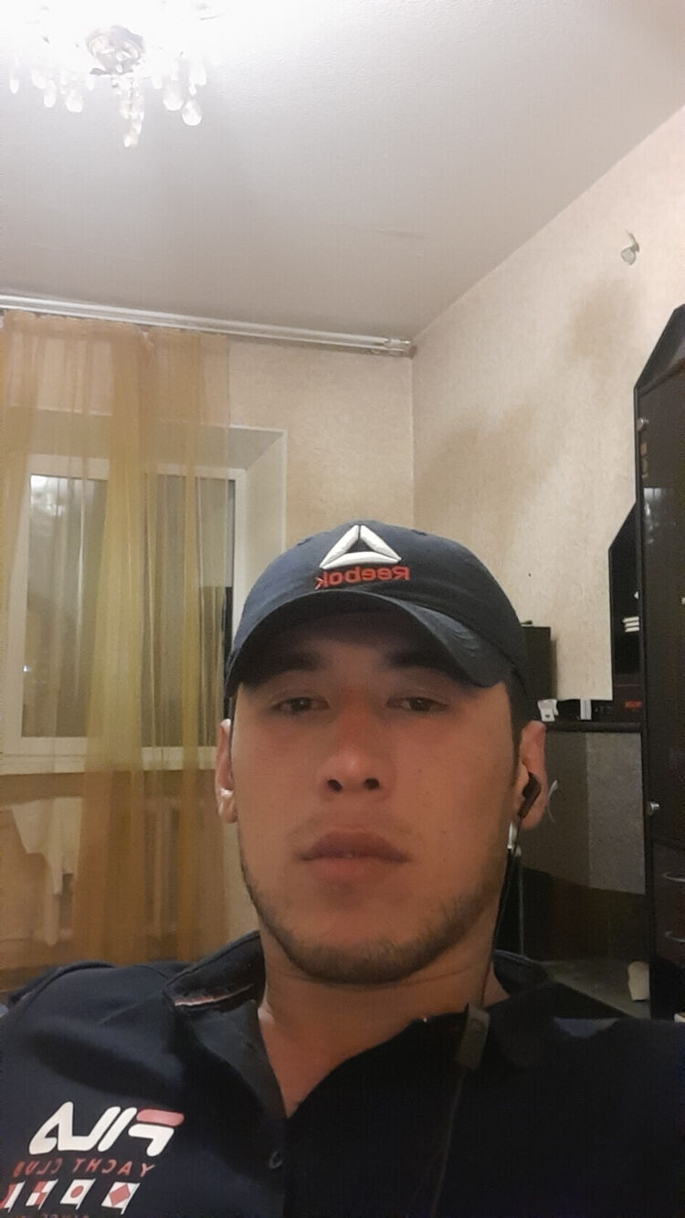  43505188  , 31 ,    