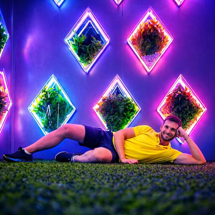 ���� 55857888 ������� ����, 51 ���, ���� ���������� � �������