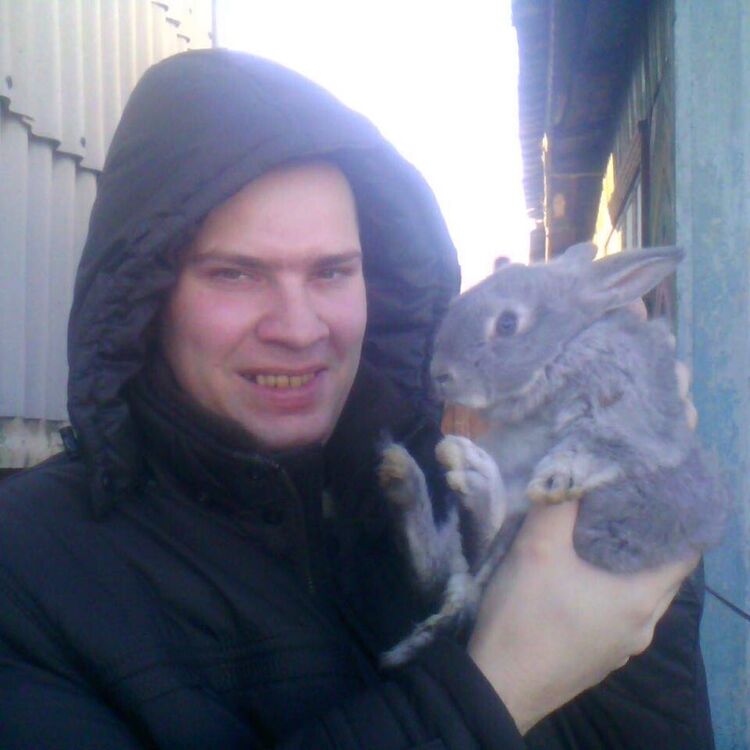 ���� 21934358 ������� ���, 43 ����, ���� ���������� � ����������