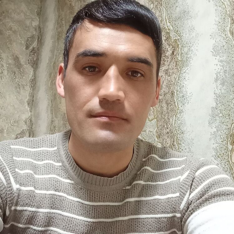  45815308  , 32 ,    