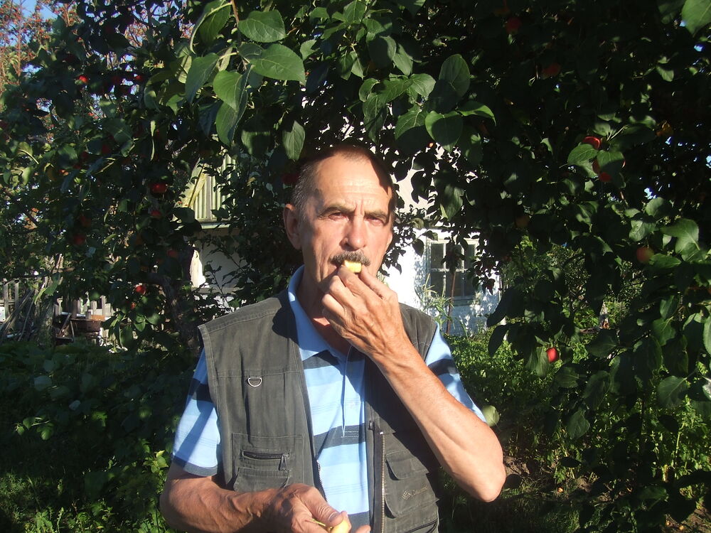  ,   , 76 ,   ,   