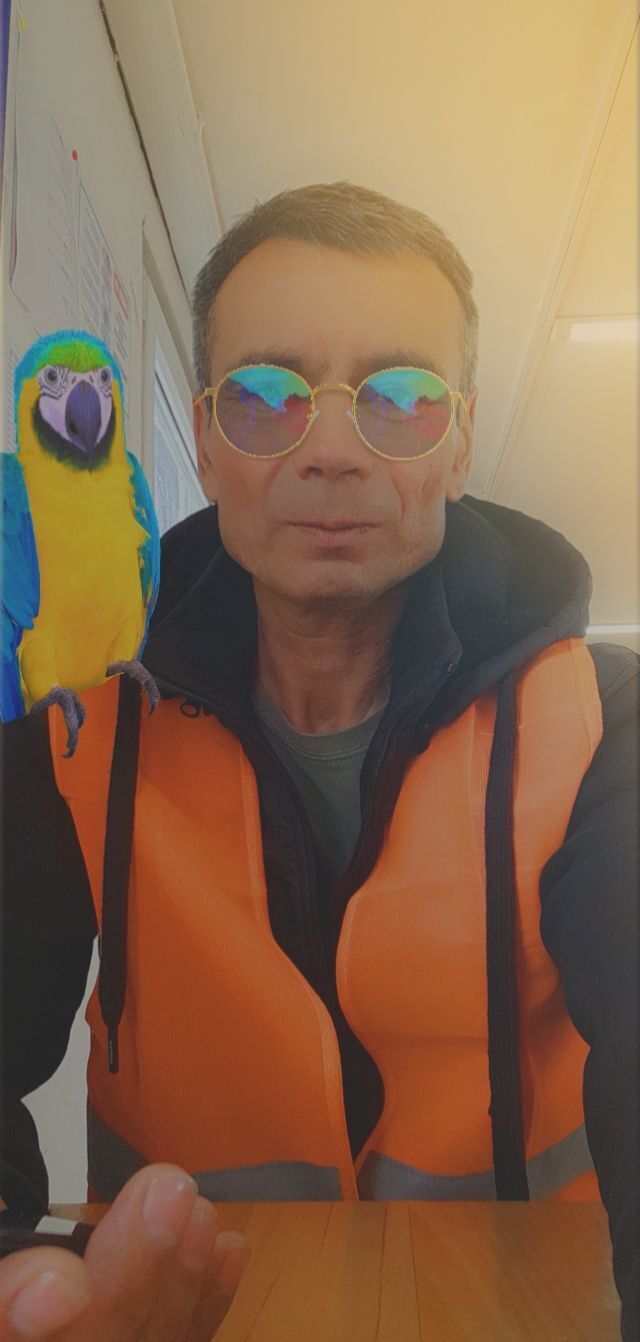 ,   , 55 ,   ,   