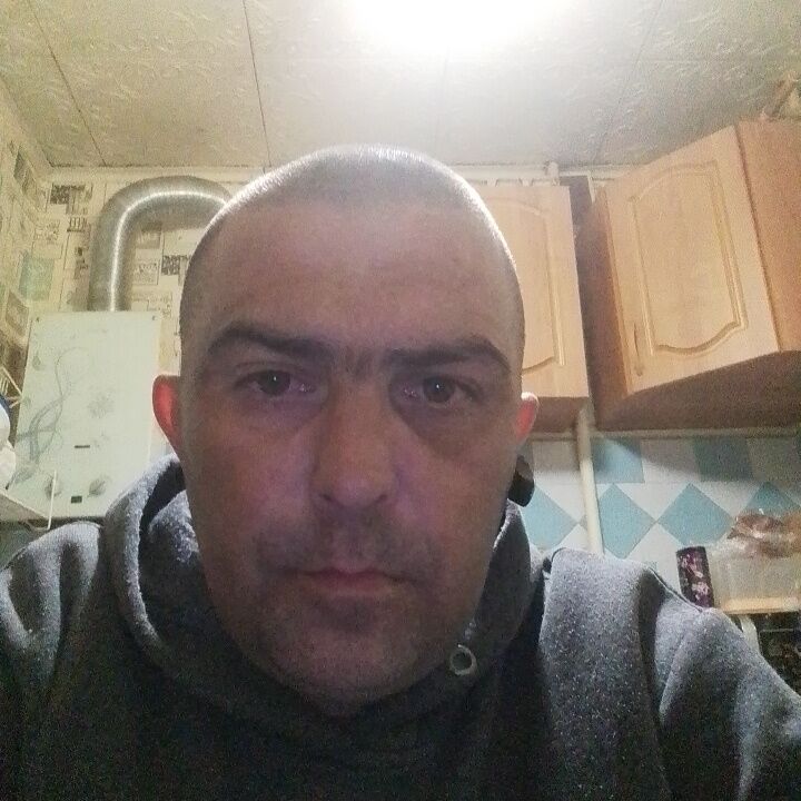  43375328  , 39 ,    
