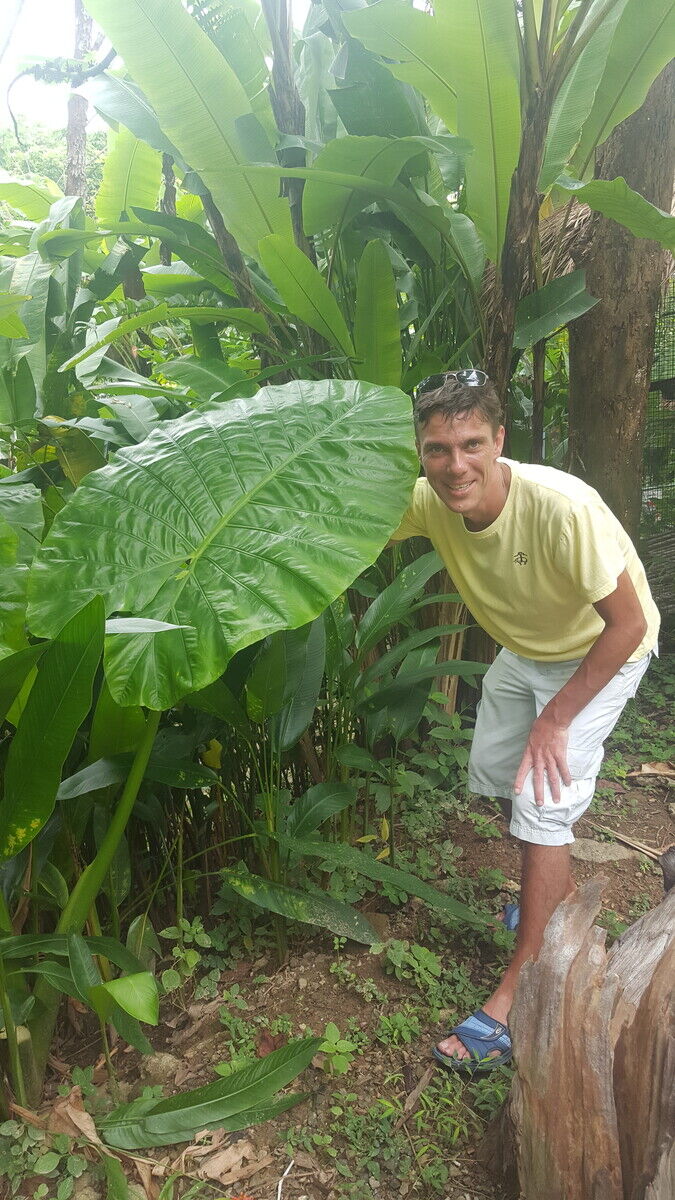 ���������� ��������, ���� ������� ������, 48 ���, ������������ ��� ������, ����� � ���������, c�������� ���������, ���������