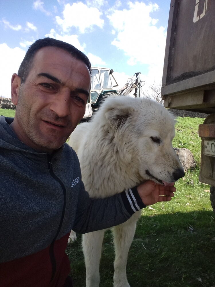 ���� 55039888 ������� Arm, 42 ����, ���� ���������� � �������