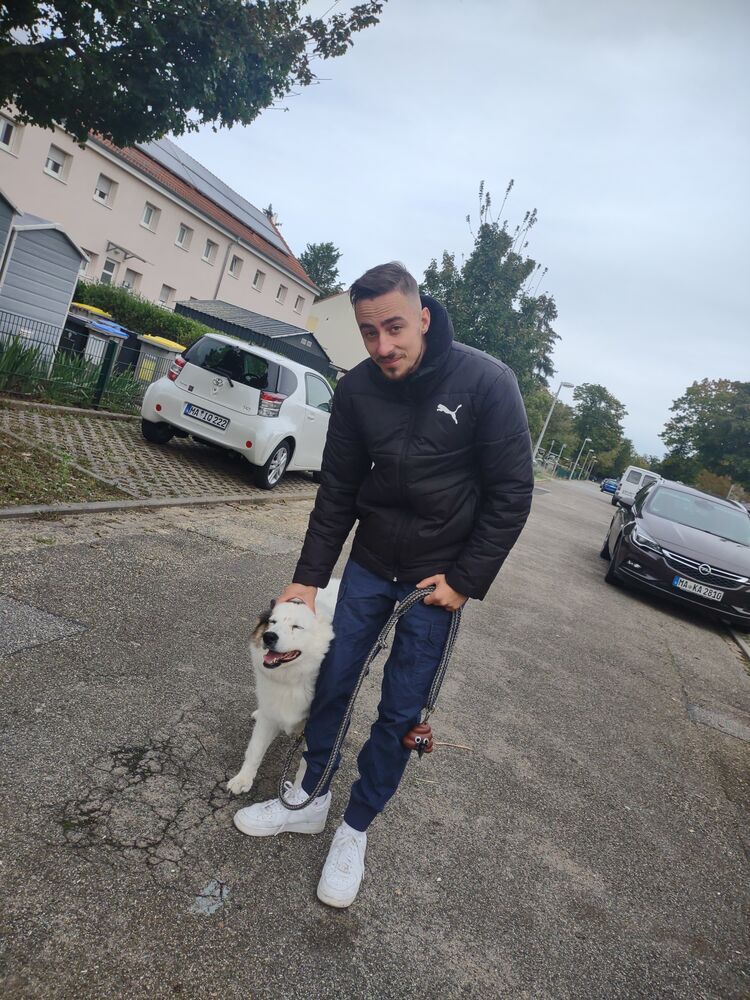  51131988  Dario, 28 ,    Mannheim