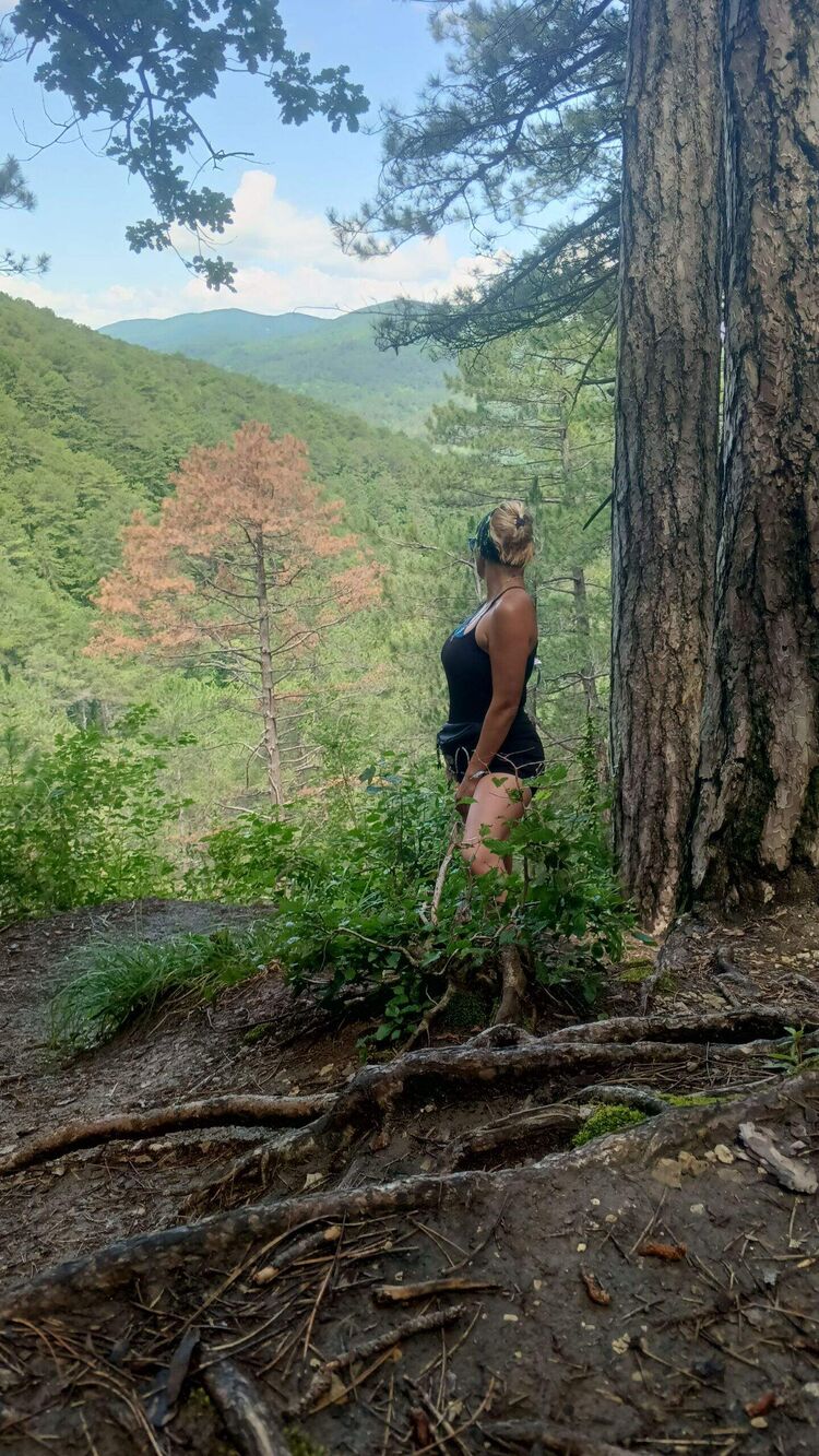 ���������� ����������, ���� ������� �����, 43 ����, ������������ ��� ������, ����� � ���������