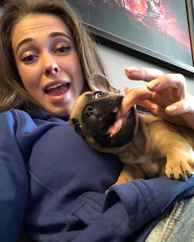 ���������� Jahnsdorf, ���� ������� ��������, 34 ����, ������������ ��� c�������� ���������