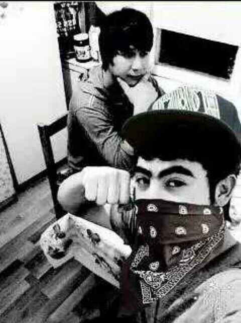  26064648  , 31 ,    -