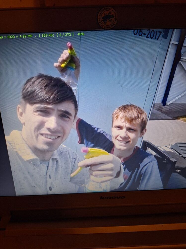  42045828  , 32 ,    