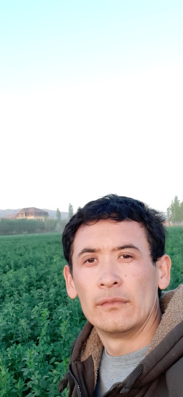  -,   , 34 ,   ,   