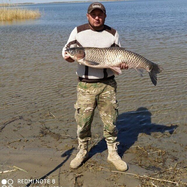 ���� 36406048 ������� �����, 43 ����, ���� ���������� � ������ ���������