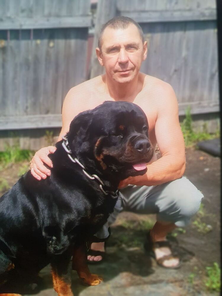 ���� 37108348 ������� ����, 51 ���, ���� ���������� � ������������