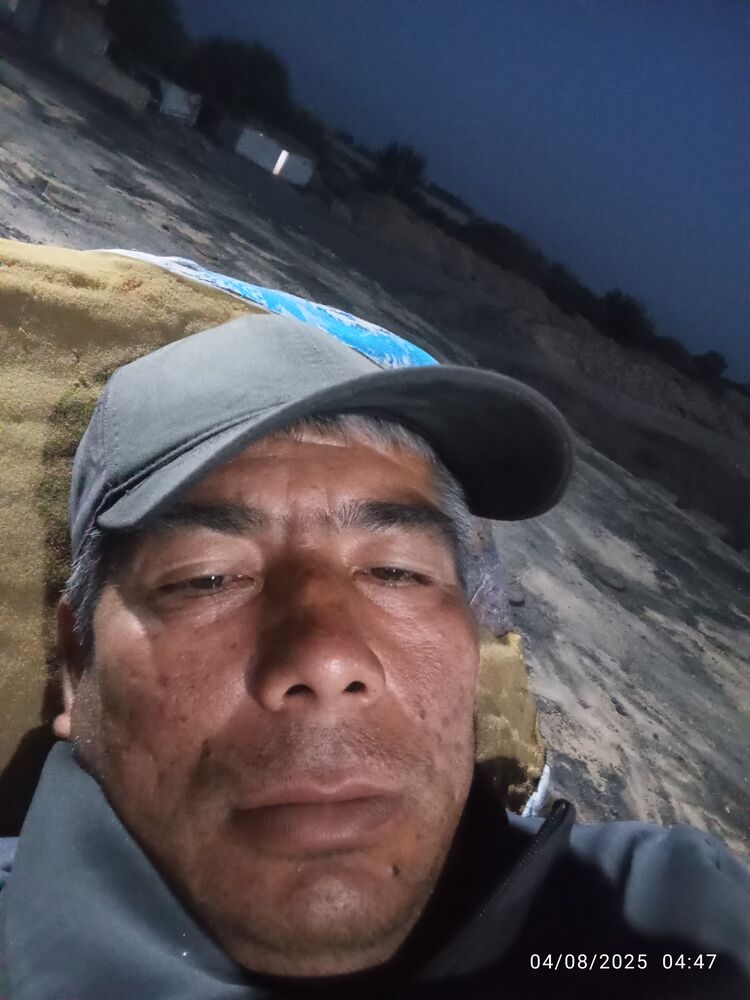  52933298  , 43 ,    