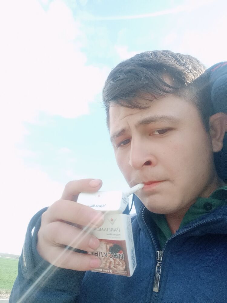  53085508  , 24 ,    