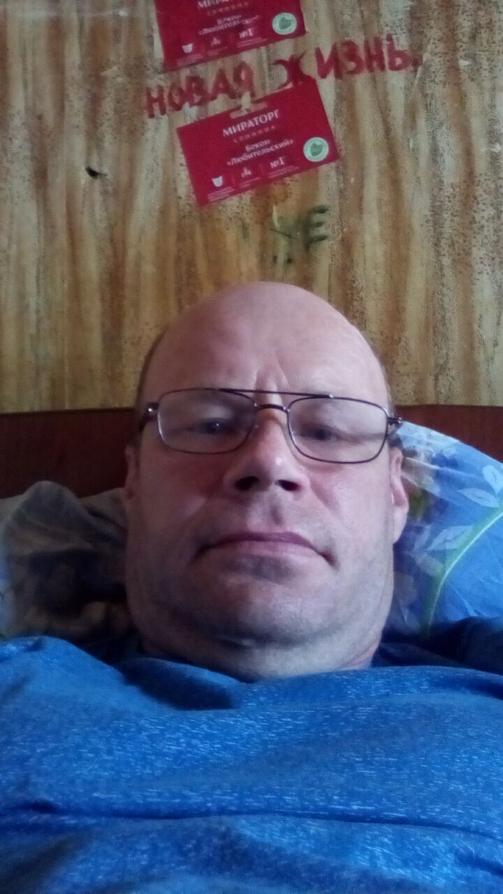  28690208  , 51 ,    