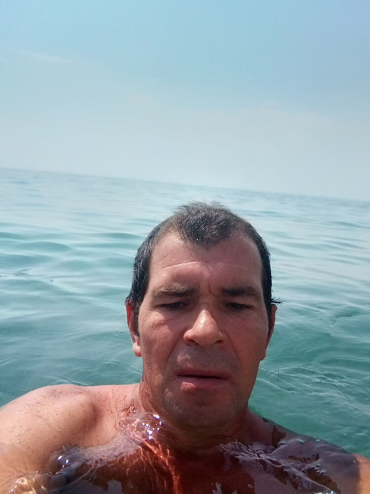  43878578  , 46 ,    