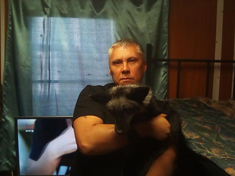  ,   , 55 ,   ,   , c , 