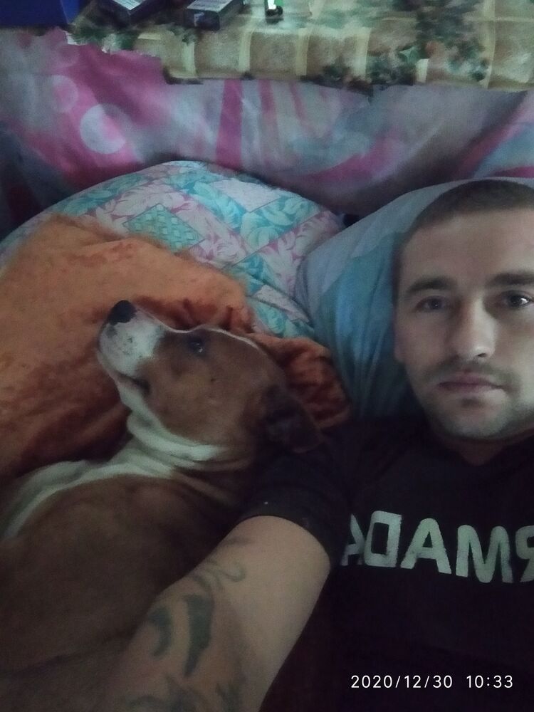 ���������� �������, ���� ������� �������, 36 ���, ������������ ��� ������, ����� � ���������, c�������� ���������, ���������