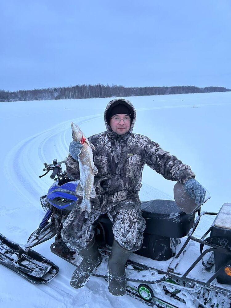 ���� 54763298 ������� ����, 41 ���, ���� ���������� � ������� ���������