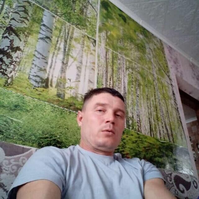  33493978  , 41 ,    