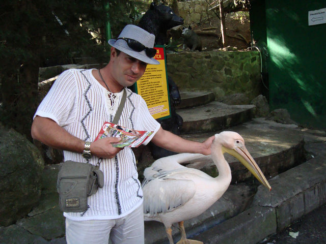 ���� 8053928 ������� ��������, 43 ����, ���� ���������� � �����������