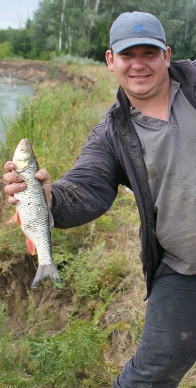 ���� 10389168 ������� ����, 40 ���, ���� ���������� � ���������