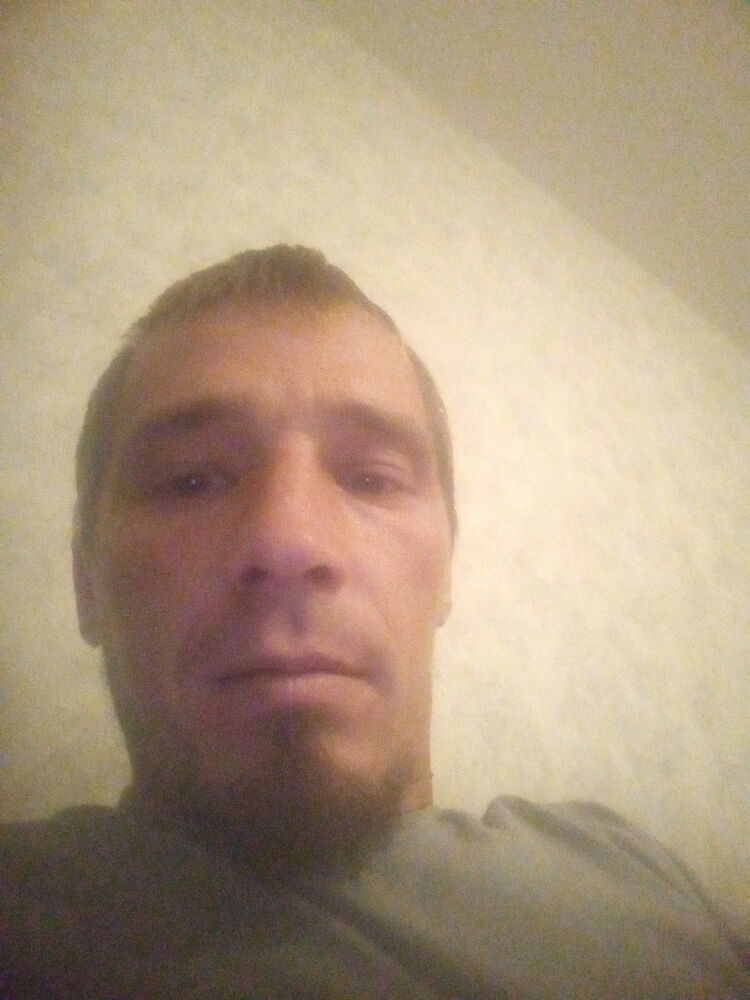  30031808  , 38 ,    