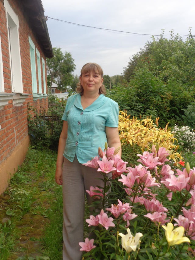 ���� 6641388 ������� �����, 56 ���, ���� ���������� � �����