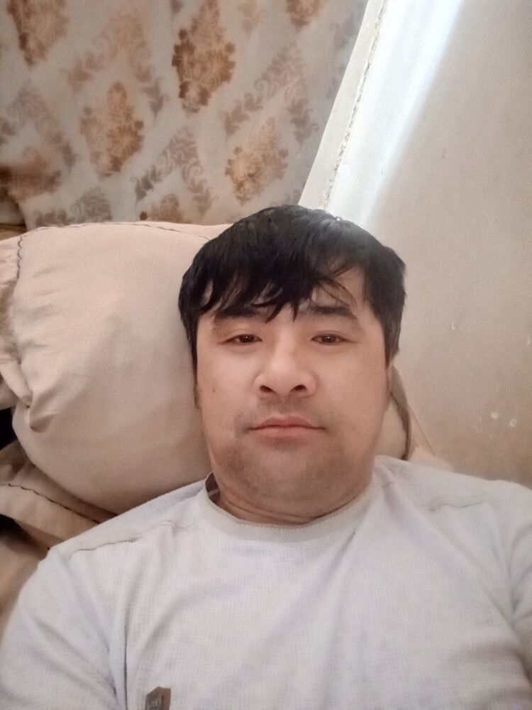  42312978  , 41 ,    