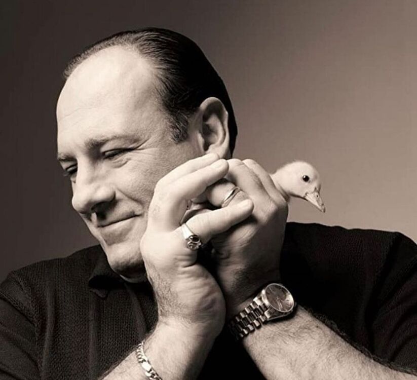 ���������� ������, ���� ����� �������, 24 ����, ������������ ��� ������, ����� � ���������