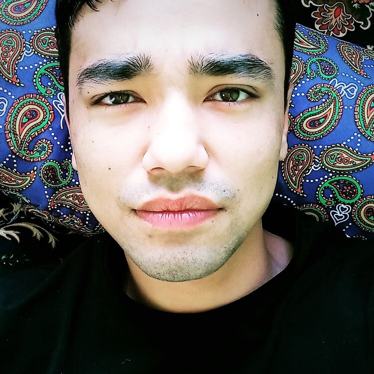  45576988  , 28 ,    