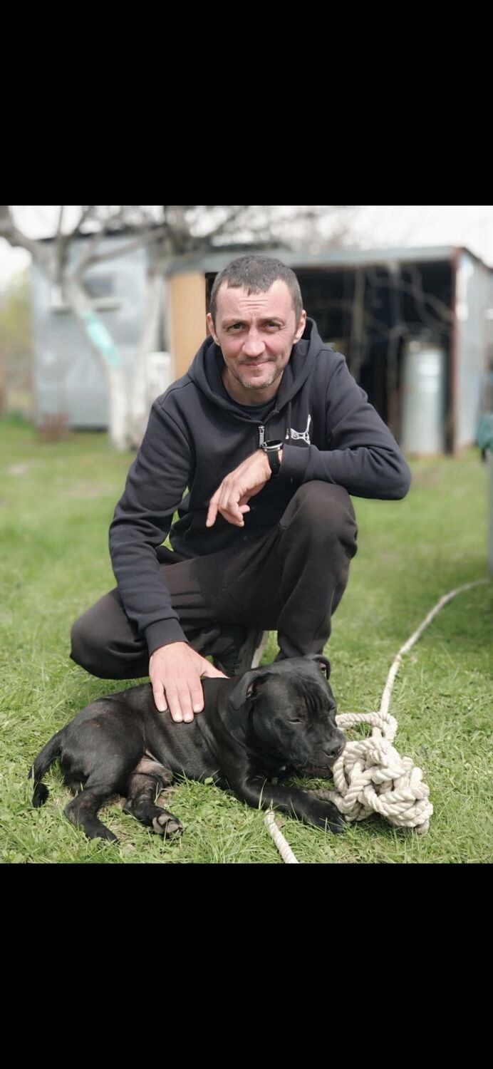 ���������� ������, ���� ������� �����, 50 ���, ������������ ��� ������, ����� � ���������