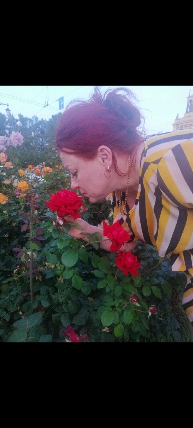 ���������� �����-���������, ���� ������� ������, 48 ���, ������������ ��� ������, ����� � ���������