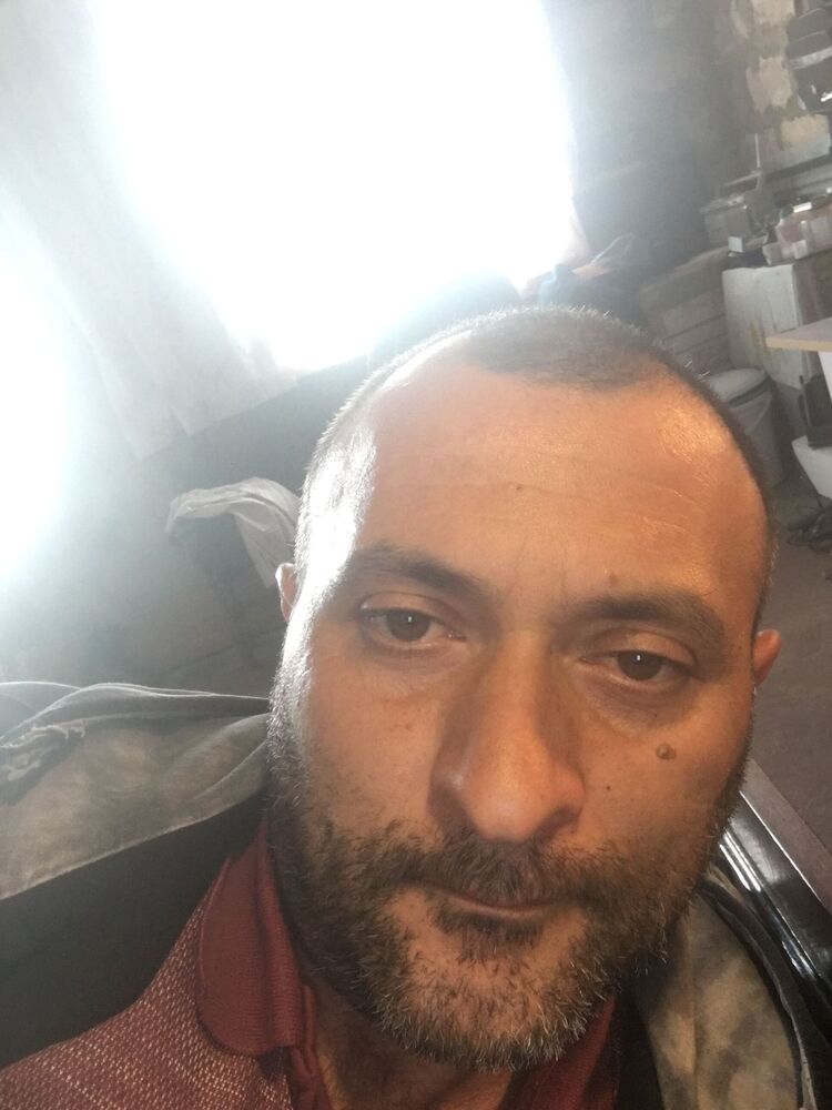  43040248  , 43 ,    