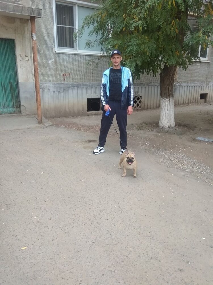 ���������� ���������, ���� ������� ���������, 37 ���, ������������ ��� ������, ����� � ���������