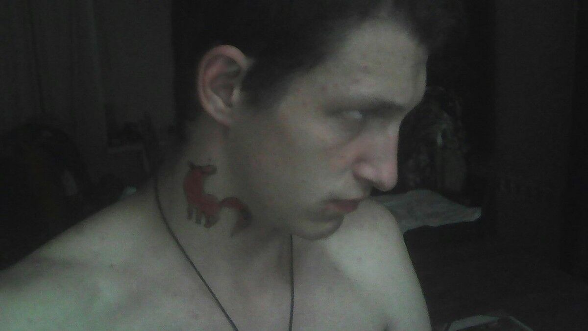  8661088  , 26 ,    