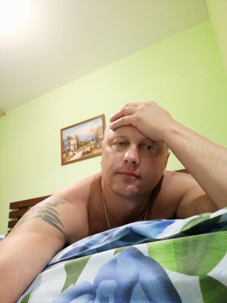  31740768  , 41 ,    