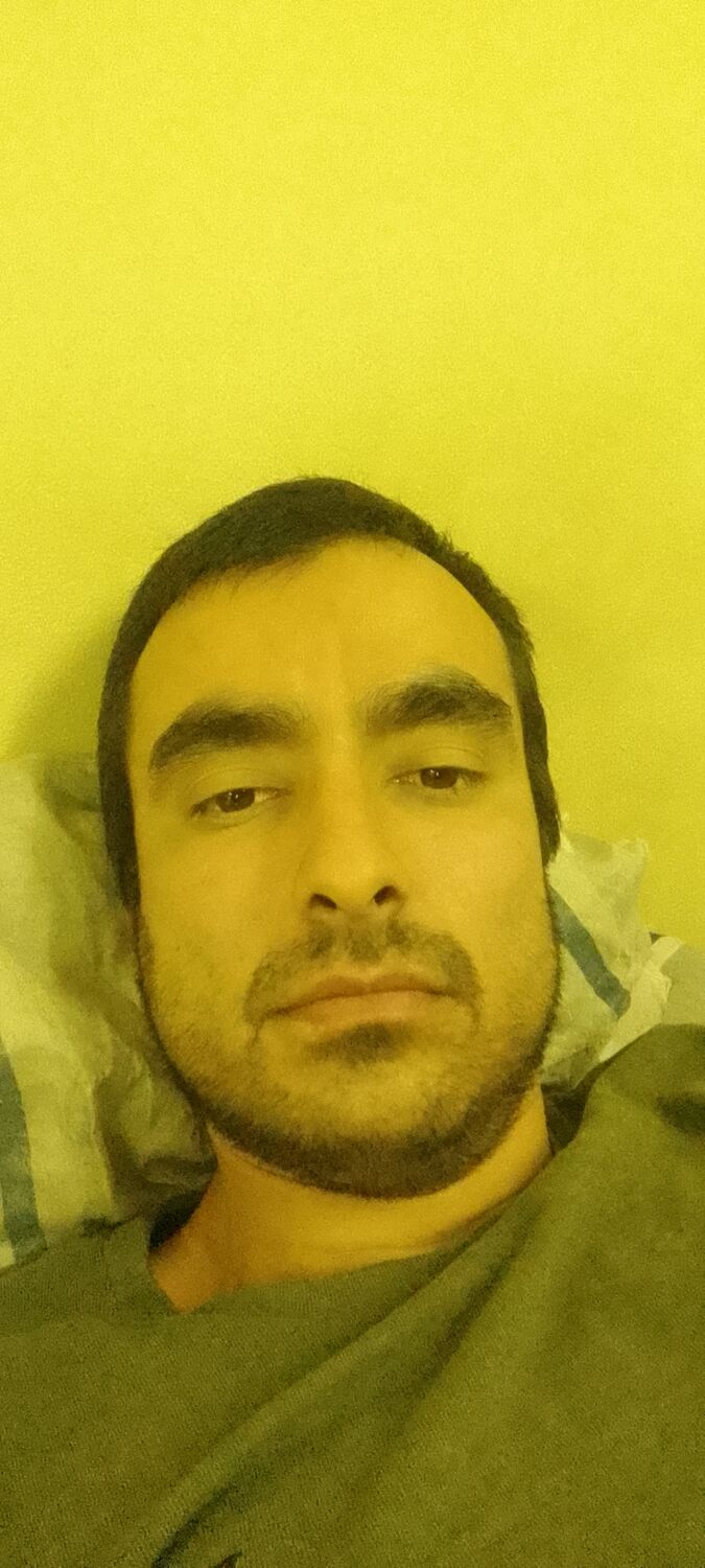  52864198  , 34 ,    -