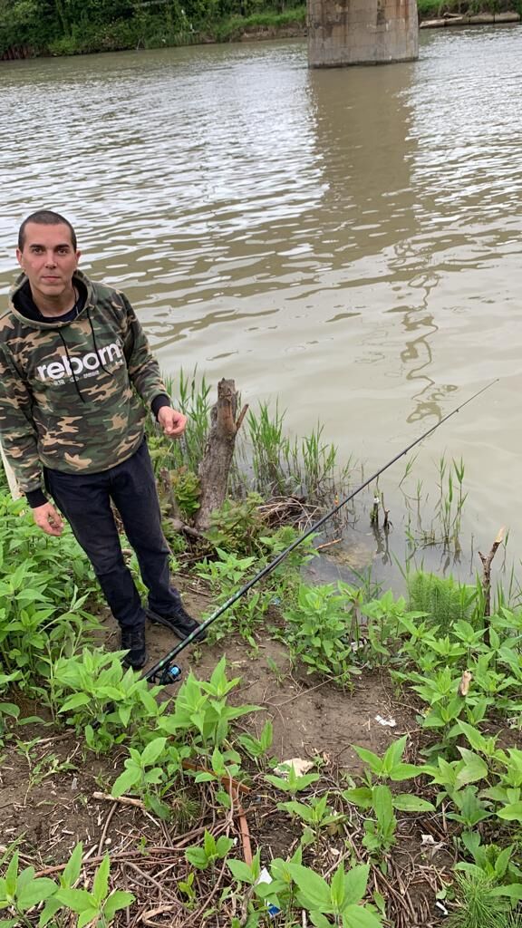 ���������� ������, ���� ������� ���������, 35 ���, ������������ ��� ���������