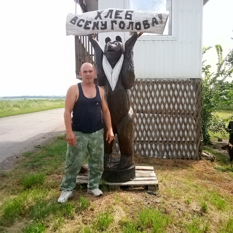  44546168  , 51 ,    