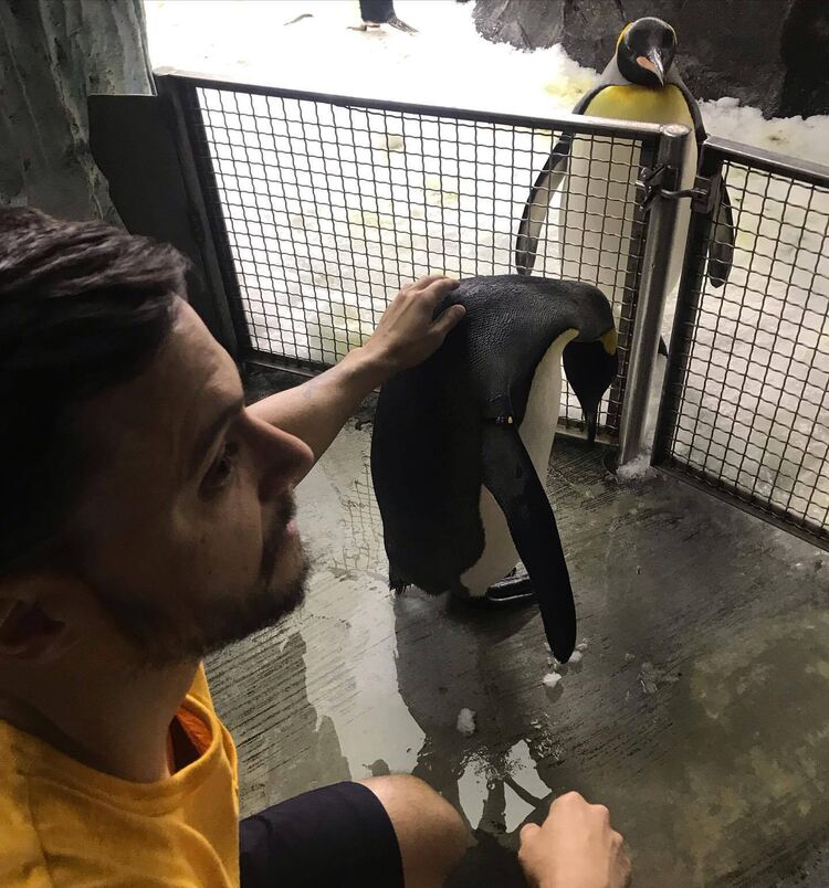 ���� 55020218 ������� �������, 35 ���, ���� ���������� � ����-�������