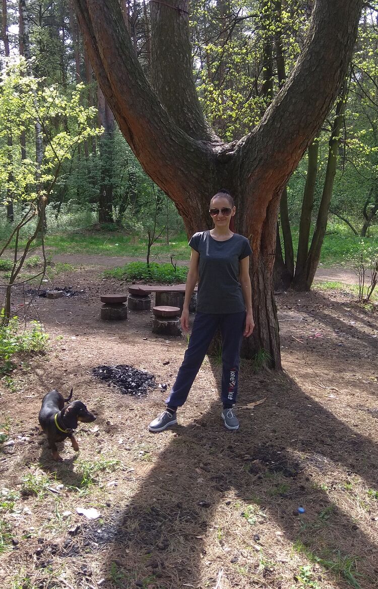  ,   KALIBRI, 50 ,   , 