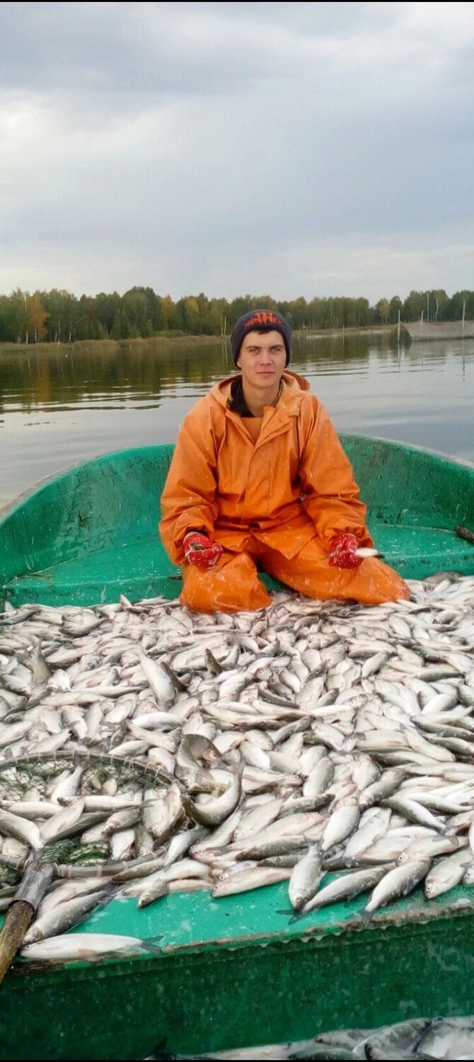 ���������� ���������, ���� ������� ���������, 29 ���, ������������ ��� ������, ����� � ���������, c�������� ���������, ���������