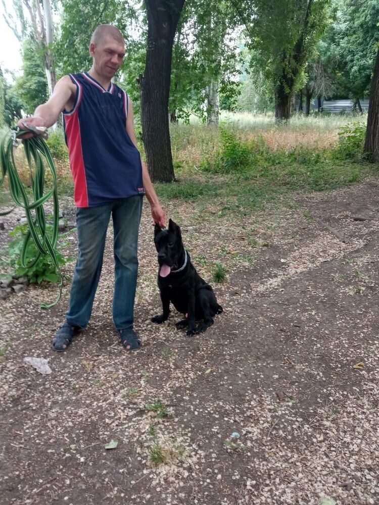 ���������� ������, ���� ������� �����, 41 ���, ������������ ��� ������, ����� � ���������