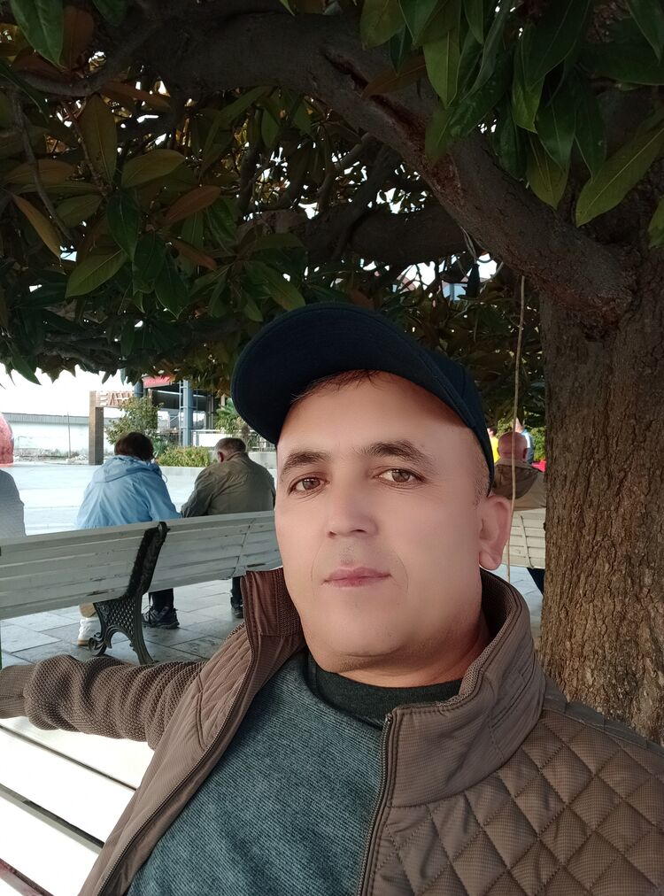  47150078  , 43 ,    